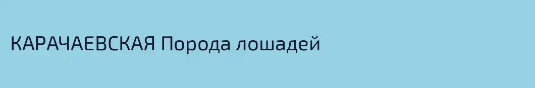КАРАЧАЕВСКАЯ Порода лошадей